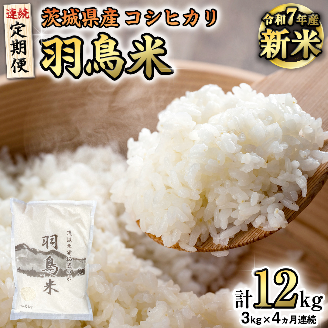 《全4回 定期便》《 令和7年産 先行予約 》 コシヒカリ 「幻の米 羽鳥米」 計 12kg (3kg × 4回) 筑波北麓秘蔵米 お米 ごはん 精米 コメ 白米 国産 茨城県 桜川市 限定 期間限定 数量限定 銘柄米 [AX005sa]