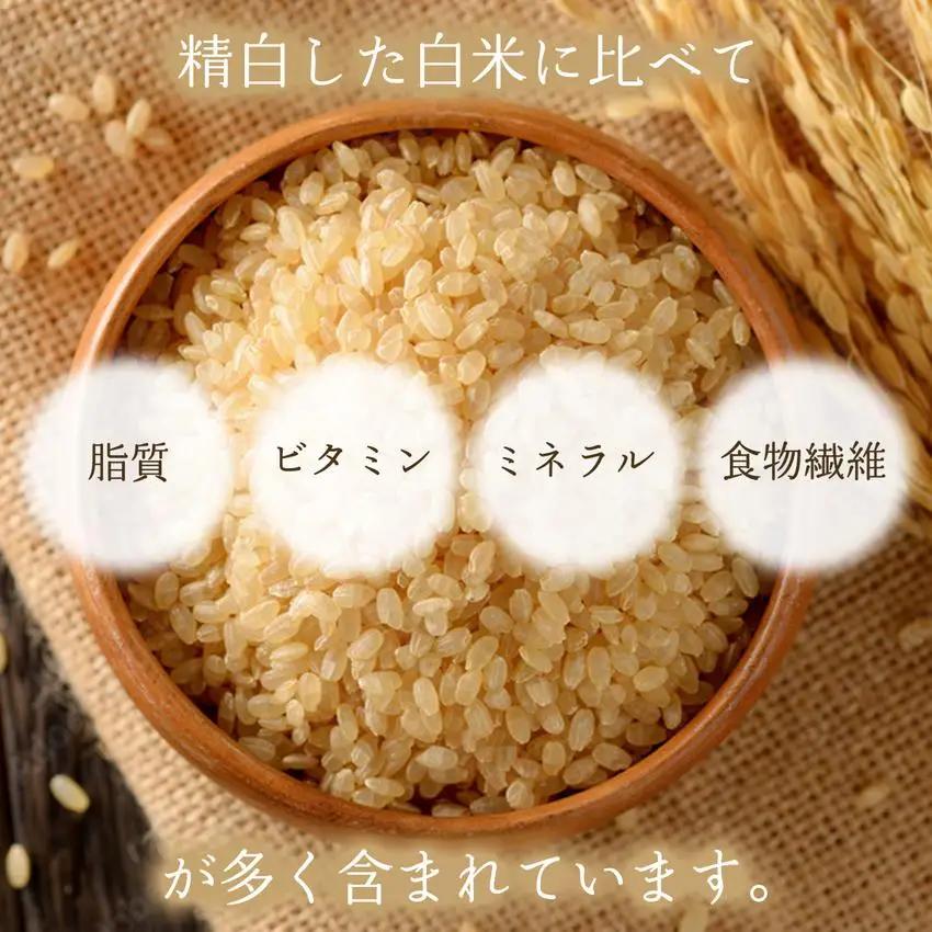 玄米粉 パンケーキミックス 200g×5袋