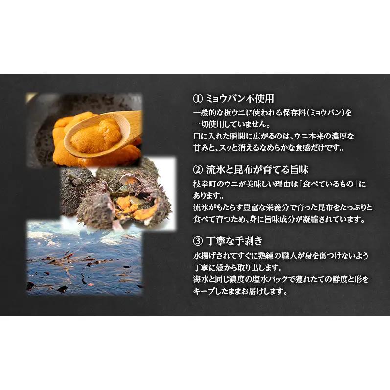 6～7月発送/先行予約 オホーツク枝幸 エゾバフンウニ 塩水パック100g［六三海］濃厚な甘みととろける食感【 うに 雲丹 バフンウニ 塩水うに ミョウバン不使用 期間限定 高級 魚介類 海の幸 北海