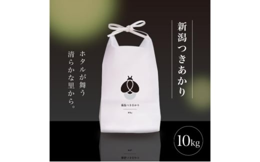 【ふるさと納税】新米 令和7年産 10kg 10キロ 新潟県 上越市産 つきあかり おおしま育ち 精米 お米 お取り寄せ 11月上旬より出荷開始