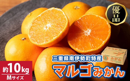 みかん 温州みかん 約10kg Mサイズ 優品 家庭用 期間限定 柑橘 蜜柑 mikan フルーツ 果物 くだもの 国産 ブランド 三重県 伊勢 志摩 南伊勢町 マルゴみかん JA伊勢