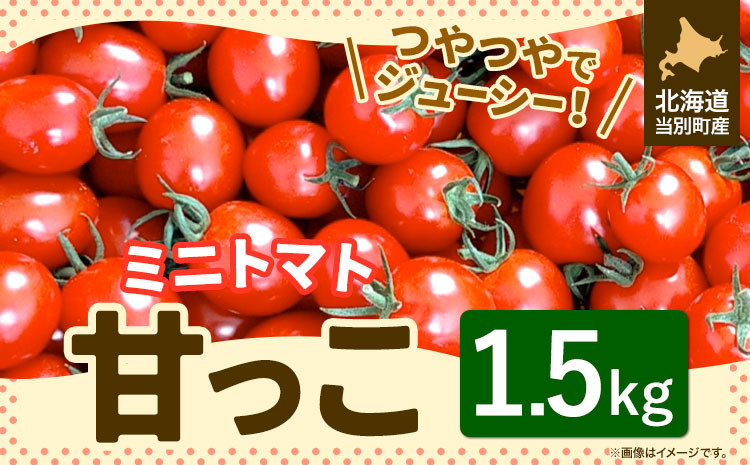 
            [0.9-220]　北海道当別町産化学農薬不使用ミニトマト：甘っこ1.5kg st-p
          