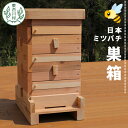 【ふるさと納税】東白川村 日本ミツバチ用飼育箱 日本 ミツバチ 飼育 巣箱 蜂 蜂蜜 ハチミツ 養蜂 日本ミツバチ 41000円