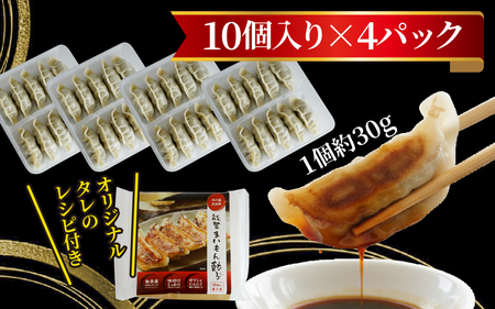奥能登 穴水産 「能登まいもん餃子」 40個（10個入 × 4パック）| ギョーザ 小分け