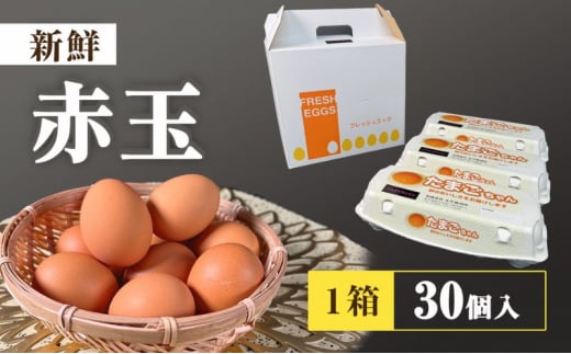 
アスタキサンチンたまごちゃん 10個入り×3パック 卵 鶏卵 アスタキサンチン 抗酸化パワー [№5840-2379]
