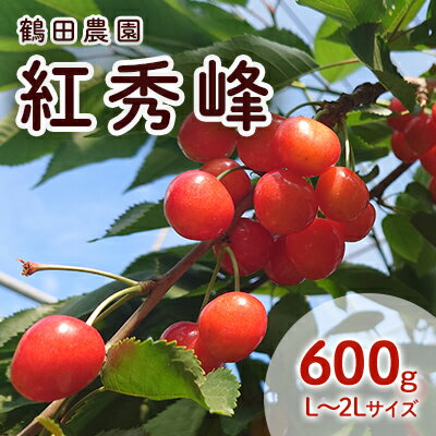 【ふるさと納税】数量限定 北海道 仁木町産 果肉がプリ しっかり大粒 甘い さくらんぼ 紅秀峰 600g Lサイズ以上 高糖度 リピーター 朝採り 甘み ジューシー サクランボ チェリー フルーツ 果物 果物類 ギフト 仁木町 仁木 [鶴田農園]　お届け：2025年7月上旬～7月下旬
