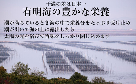 訳あり 焼き海苔 福岡有明のり 合計104枚(2切8枚×13袋) 【有明海産】