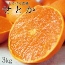 【ふるさと納税】とろける食感！ジューシー柑橘　せとか　約3kg※2025年2月末頃～2025年3月中旬頃発送(お届け日指定不可)