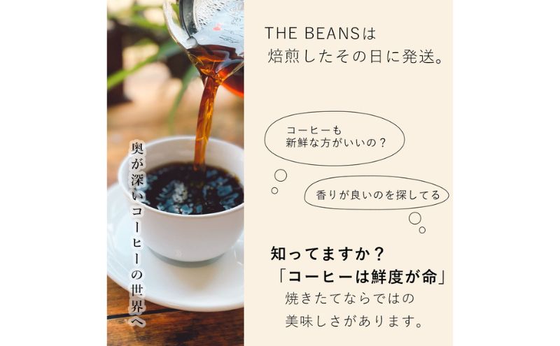 珈琲豆 マイルドブレンド（豆）200g the beans thebeans ザビーンズ