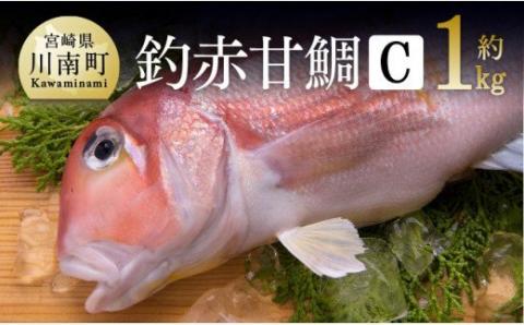 『釣赤甘鯛 C』_鮮魚さかな九州宮崎川南町新鮮魚介海の幸魚介類たい送料無料魚介 [D04410]