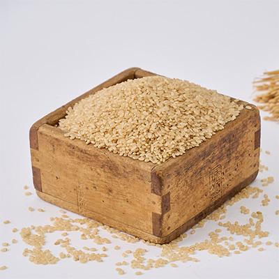 ふるさと納税 野々市市 【軽やかな甘みと食べやすさ】石川県野々市市産ハナエチゼン令和7年産玄米 3kg |  | 01