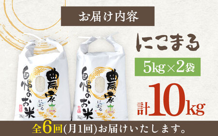 【先行予約】【全6回定期便】特A 対馬産 にこまる 5kg×2「ほたる舞う三根川の米」  米 お米 ご飯 ごはん 白米 10kg 10キロ 産地直送 贈答用 特A 定期便 [WAJ010]