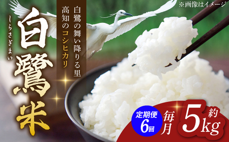 【6回定期便】 R7年度産 特別栽培米 農薬節減！ 白鷺米 コシヒカリ 各約5kg 合計約30kg / 高知 米 お米 精米 　【津ノ宮農園】[ATBV013]