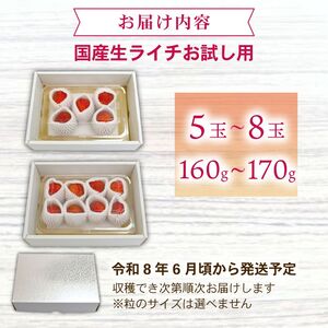 【令和7年6月中旬頃より発送】お試しパック 生ライチ 室戸海洋深層水仕込み 【ライチ 果物 生ライチ 国産 ライチ 品種 ジャカパット】