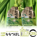 【ふるさと納税】【新米】令和6年産米 ファームアグリエイトのななつぼし　約5kg×2袋を12ヶ月連続お届け 【 ふるさと納税 人気 おすすめ ランキング 北海道 定期便 新米 米 白米 特Aランク ななつぼし 甘い 贈り物 贈答 ギフト セット 北海道 壮瞥町 送料無料 】 SBTB009