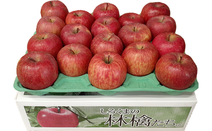 【クール便】4月発送 白熊 訳あり家庭用 サンふじ 約5kg 糖度13度【弘前市産・青森りんご・CA貯蔵】