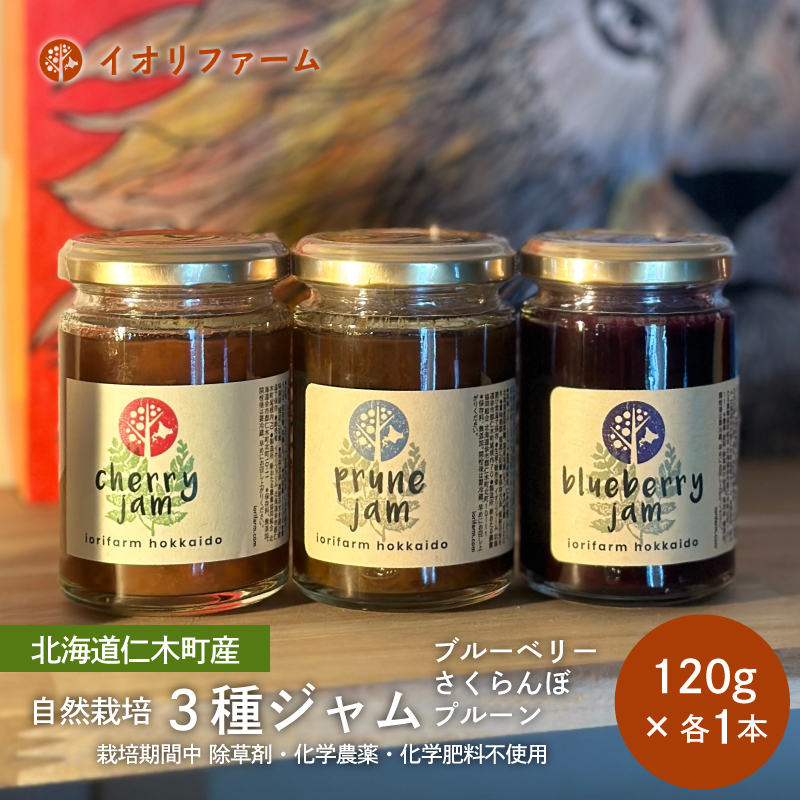 北海道 仁木町産 ジャム120g×3種セット（ブルーベリー・プルーン・さくらんぼ） 栽培期間中 除草剤・化学農薬・化学肥料不使用 サクランボ 果物 フルーツ イオリファーム [iori farm]