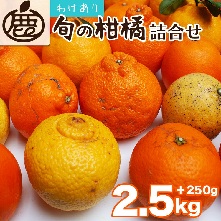 ＜1月より発送＞家庭用 柑橘詰合せ2.5kg+250g（傷み補償分）◇【訳あり・わけあり】【有田の春みかん詰め合わせ・フルーツ詰め合せ・オレンジつめあわせ】【光センサー選別】 ※北海道・沖縄・離島への配送不可 ※2026年1月上旬～4月下旬頃に順次発送予定
