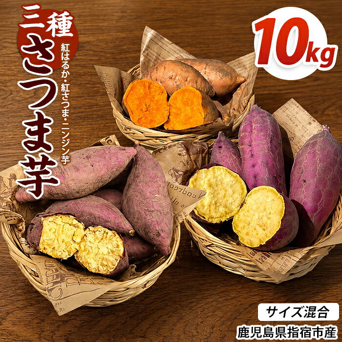 【ふるさと納税】【2026年10月上旬～発送】＜訳あり＞鹿児島県産 さつまいも 3種詰め合わせ 約10kg 鹿児島 さつまいも さつま芋 サツマイモ 紅さつま 紅はるか ニンジン芋 野菜 おやつ セット 常温【アグリファースト】
