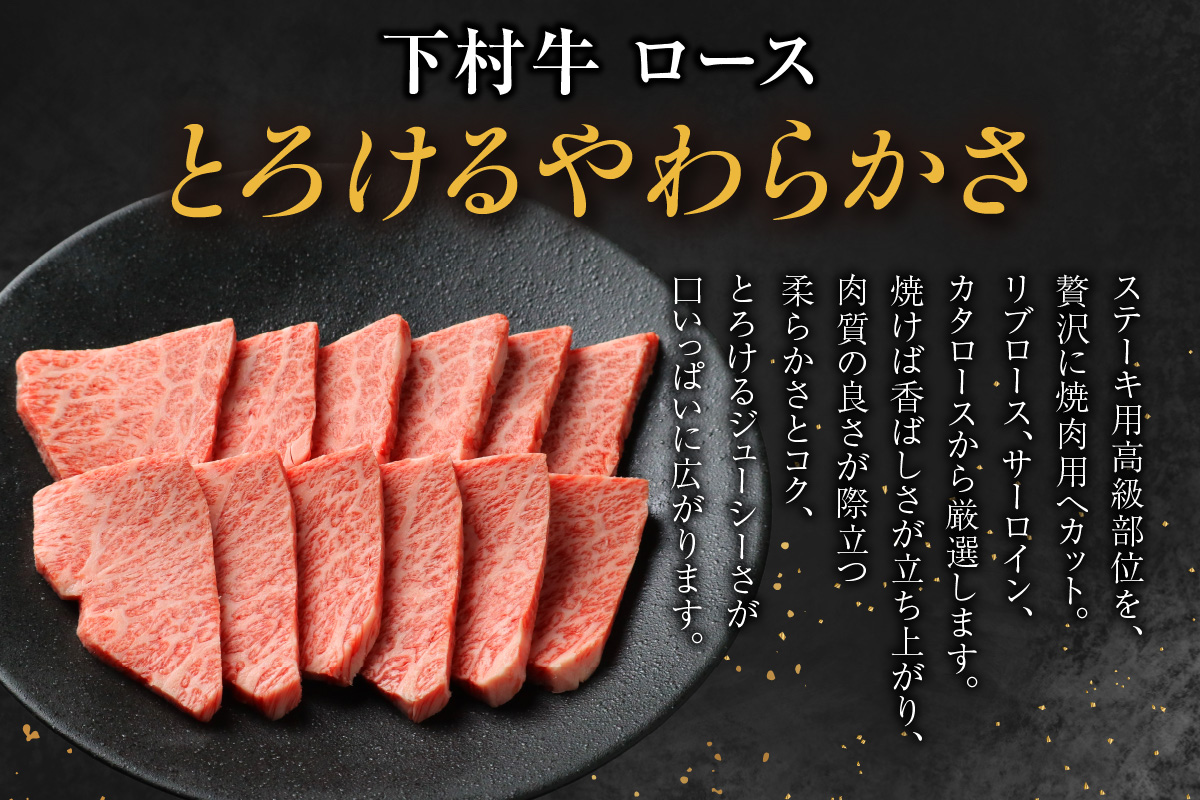 東浦町産黒毛和牛『下村牛』焼肉2種食べ比べセット（C）計500g（ロース・あかみ各250g）│焼肉 黒毛和牛 和牛 セット お肉 肉 バーベキュー 高級 あかみ 赤身 ロース 下村牛 愛知県 東浦町 