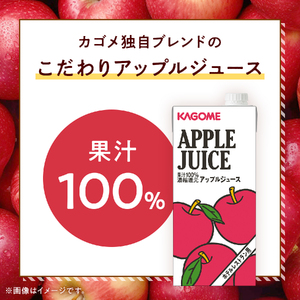カゴメ アップルジュース ホテルレストラン用 1L 紙パック 6本入 [h172]