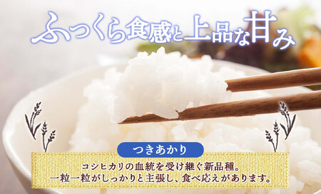 ＜先行予約＞令和7年産 つきあかり 白米 10kg×1袋 長野県産 米 精米 お米 ごはん ライス 甘み 農家直送 産直 信州 人気 ギフト お取り寄せ 平林農園 送料無料 長野県 大町市