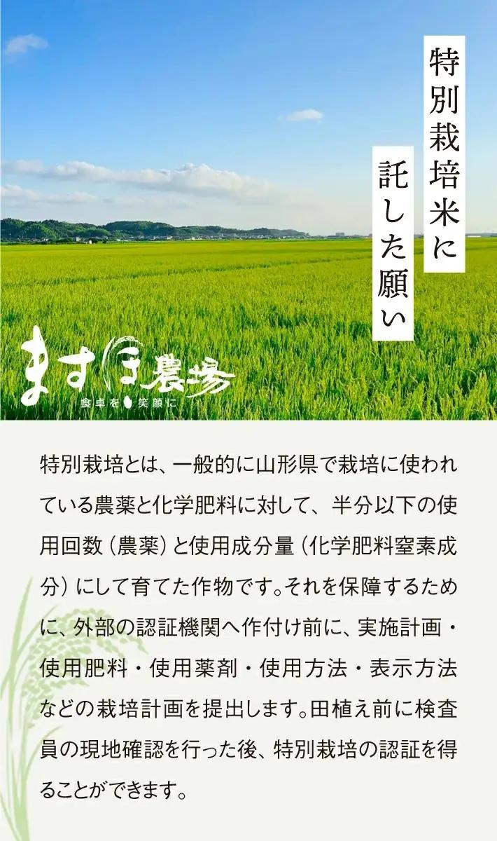 SB1015　12月上旬配送／令和8年産【玄米】　特別栽培米『はえぬき』 10kg(5kg×2袋)［減農薬・減化学肥料］ MA
