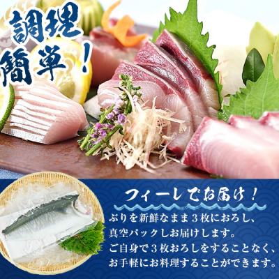 ふるさと納税 佐伯市 大分県産 養殖ブリ　フィーレ (約1kg前後) |  | 02