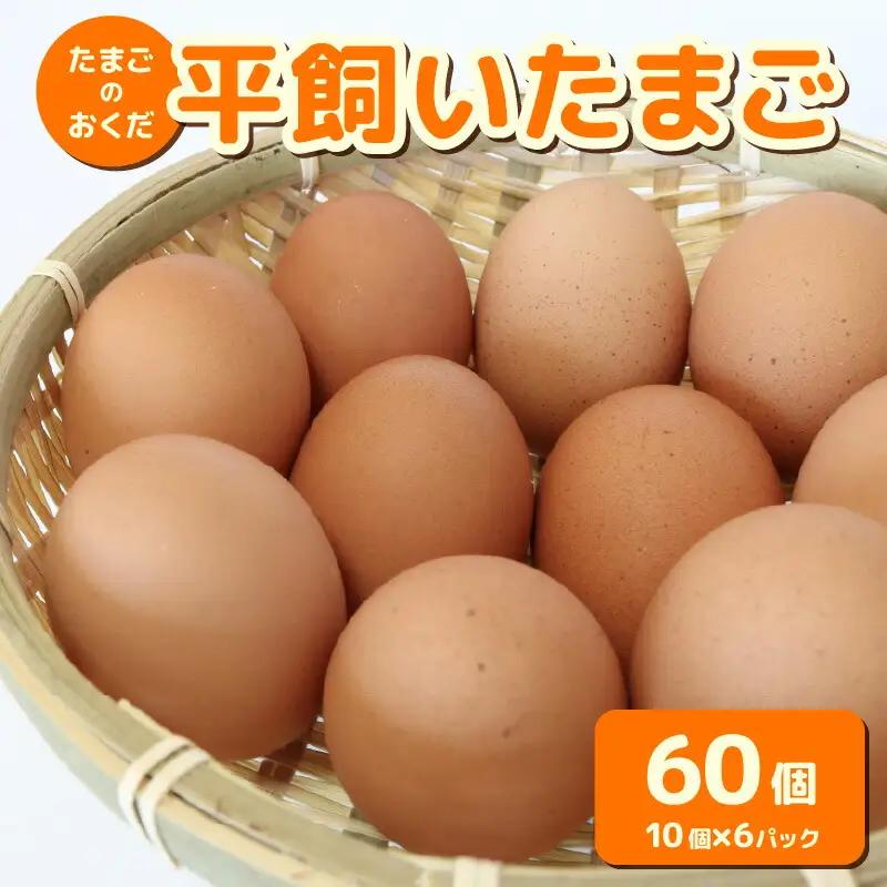【平飼い たまご】 60個入【たまご 高知県 南国市】