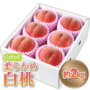 【ふるさと納税】山形産 柔らかめ 「白桃」 秀品 約2kg (5玉〜8玉) 【令和7年産先行予約】FS24-081 くだもの 果物 フルーツ 山形 山形県 山形市 2025年産