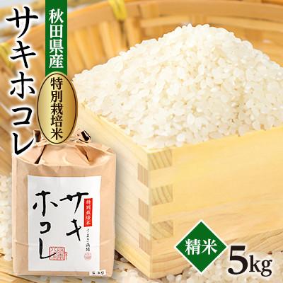 ふるさと納税 大潟村 【2ヵ月毎定期便】「特別栽培米サキホコレ」白米 5kg全3回