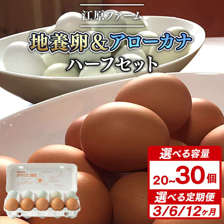 【ふるさと納税】＼選べる個数・回数／ 江原ファーム　地養卵＆アローカナハーフセット（20個・30個）｜卵 たまご タマゴ 生みたて 産みたて 新鮮 濃厚 健康 赤玉 青い卵 産地直送 _AG25 _AG26 _AG27 _AG19 _AG20 _AG21