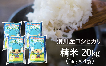 滑川産コシヒカリ（精米20kg）【通年発送】[D-007001]