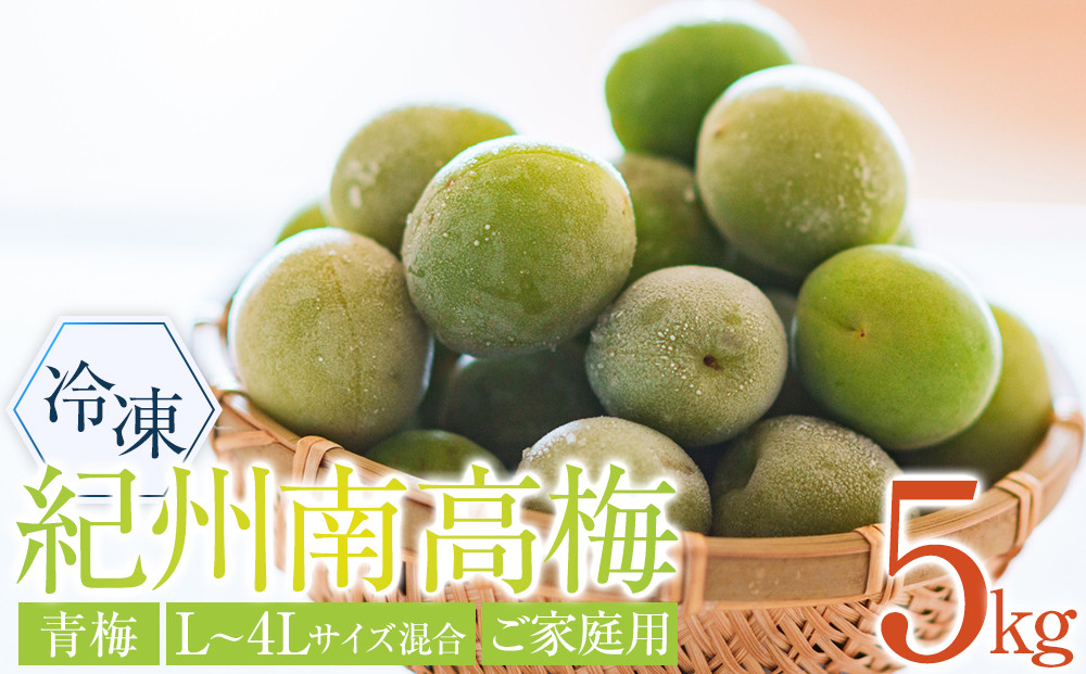 冷凍 紀州南高梅 青梅   約5kg   L～4Lサイズ混合 ご家庭用