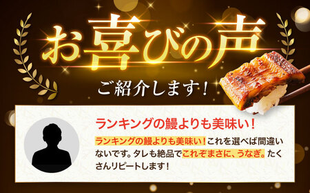 【全6回定期便】 うなぎ 蒲焼き 冷蔵 真空パック 2尾セット（2尾×1箱）　愛媛県大洲市/有限会社 樽井旅館 鰻 うなぎ ひつまぶし 土用の丑の日 ウナギ[AGAH018]