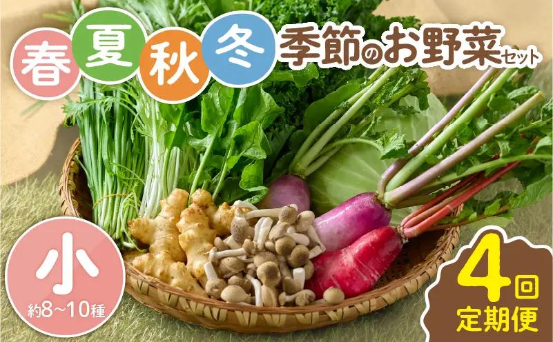 【全４回定期便】春夏秋冬 季節のお野菜セット（サイズ小/約8～10種） 【宮崎県 定期便 詰め合わせ 新鮮 産地直送 おまかせ 季節の野菜 ボックス 農家直送 有機栽培 送料無料 オーガニックのまち 宮崎県綾町】＿A0053-013