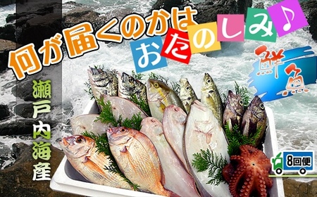 【定期便8回】創業100年の魚屋さんが選び抜いた旨い鮮魚直送便～
