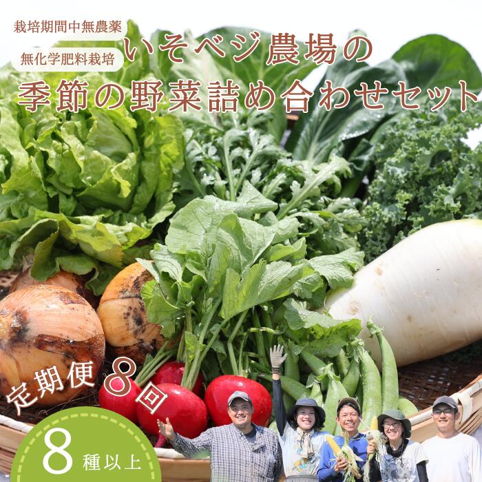 【ふるさと納税】●先行受付・2025年発送　いそベジ農場の季節の野菜詰め合わせセット　定期便8回（IV-T504）