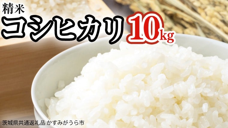 
            令和8年産 コシヒカリ 精米 10kg (茨城県共通返礼品 かすみがうら市) 紙米袋 茨城 新米 精米 コシヒカリ お米 ごはん 直送 銘柄米 [DH020sa]
          