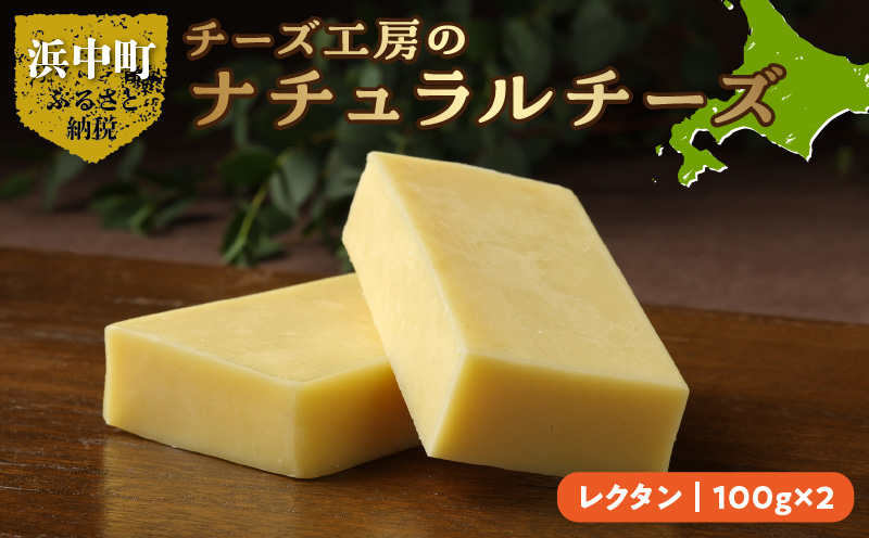 チーズ工房のナチュラルチーズ　レクタン100g×2_H0003-107