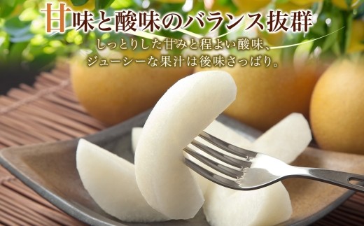 梨2kg 豊水 4～6玉