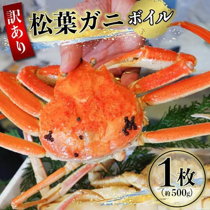 先行予約 訳あり 松葉ガニ ボイル  1枚 約500g  年明け配送 カニ