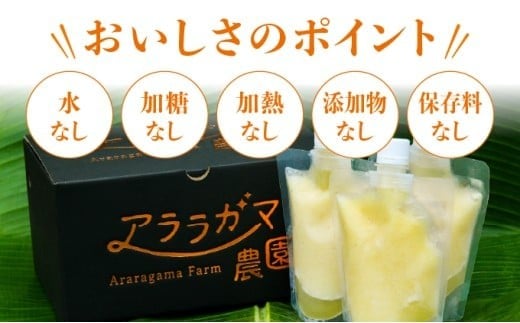 水なし、加熱なし、砂糖なし！天然まるごと！完熟生パイナップル冷凍ピューレ200ml×65本セット