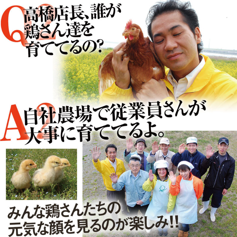 卵 20個 赤卵 たまご 玉子 生卵 ゆで 鶏 卵焼き 卵かけご飯 ごはん こめ 米 すき焼き 牛丼 玉ねぎ うなぎ う巻き プリン フライパン お菓子 サンド 高級 年 定 大寒 日 ふるさと 徳島