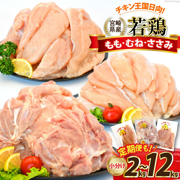 【ふるさと納税】部位・kg・定期便が選べる 宮崎県産 小分け 若鶏 [エム・ティ・シー 宮崎県 日向市 452061066] 冷凍 鶏 鶏肉 国産 もも肉 モモ肉 むね肉 ムネ肉 ささみ ササミ 個包装 定期便 3回 6回 【日向市は若鶏出荷額5年連続日本一】