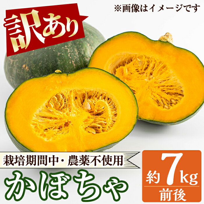 【ふるさと納税】《訳あり》かぼちゃ約7kg前後 南瓜 カボチャ 訳あり 不揃い 野菜 青果 鹿児島県 【泉真一朗】