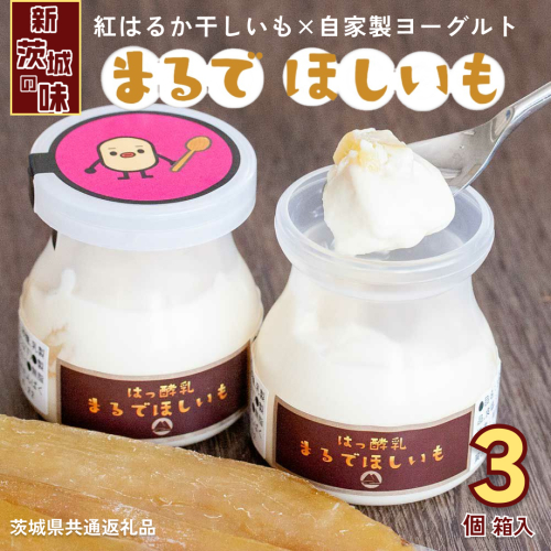 筑波ハム 『 まるで ほしいも 』 100g × 3個 ( ほしいもクン 特製 化粧箱 入り )( 茨城県共通返礼品 ) 自家製 ヨーグルト 紅はるか べにはるか 干し芋 干しいも デザート おやつ 