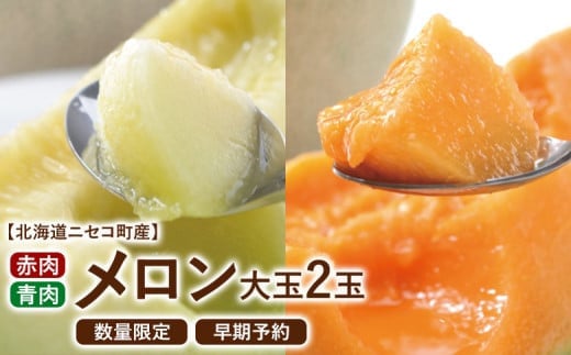 
            【北海道ニセコ町産】赤・青メロン大玉2玉セット　＜数量限定・2025年早期予約・7月下旬より出荷予定＞【0202801】
          