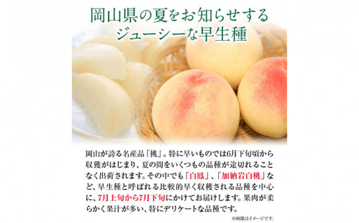 【令和7年度先行予約】岡山県産 白桃 (早生種) 約900g  晴れの国 おかやま館(漂流岡山)《2025年7月上旬-8月中旬頃出荷》【配送不可地域あり】---124_c861_7j8c_24_170