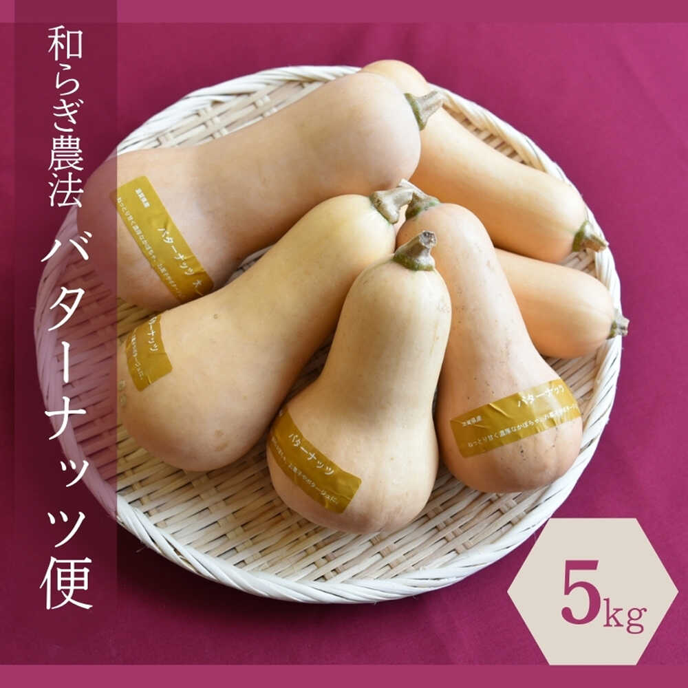 【ふるさと納税】【2025年9月下旬頃より順次発送】和らぎ農法　バターナッツ便（約5kg） 栗東市 / 株式会社　ワダケン[BIBM015]